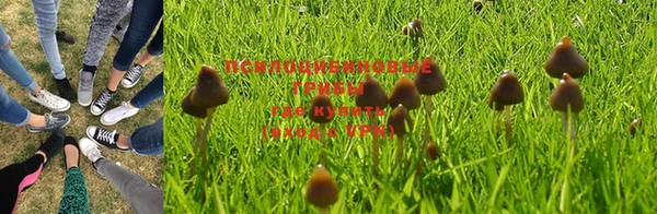 не бодяженный Алексеевка