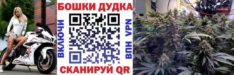 hydra вход  купить наркотики сайты  Нижние Серги  Марихуана SATIVA & INDICA 